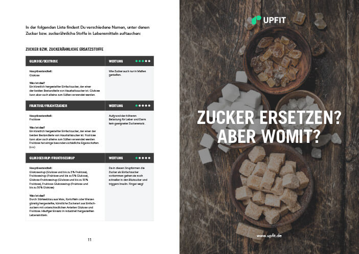 zucker-guide-leseprobe-2