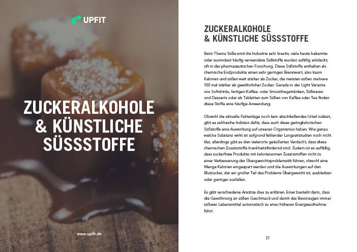 zucker-guide-leseprobe-3