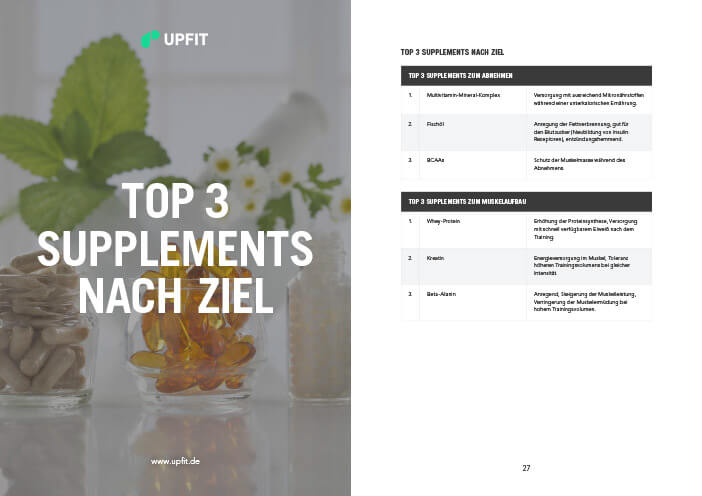 Supplement Guide Leseprobe 3